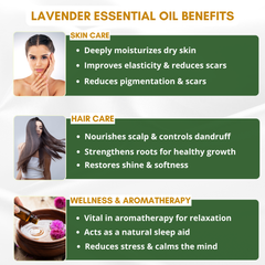 Lavender Essential Oil for Skin, Hair & Aromatherapy