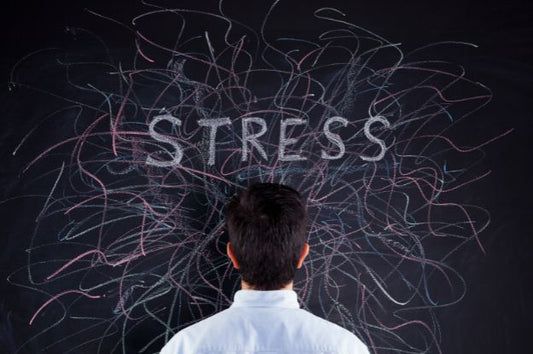 Stress Hormones: What They Do and How to Combat Them