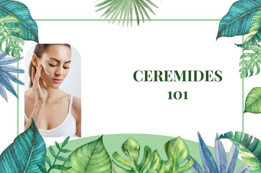 ceremides for skin