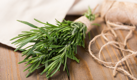 9 Benefits Of Rosemary Essential Oil 