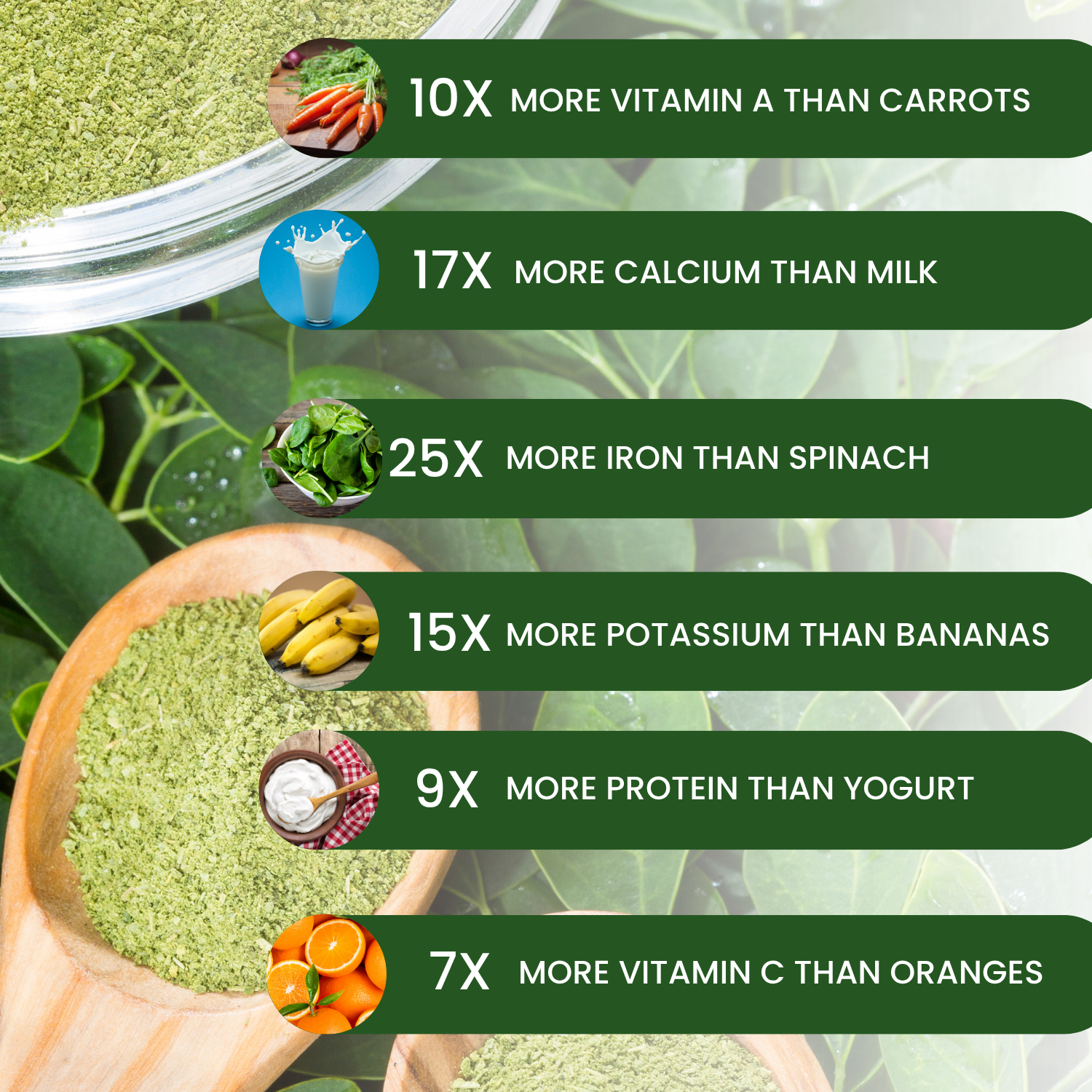 Organic Moringa Leaves Powder - 100 GM | 100% Pure & Nutrient-Rich Superfood fro Weight Loss