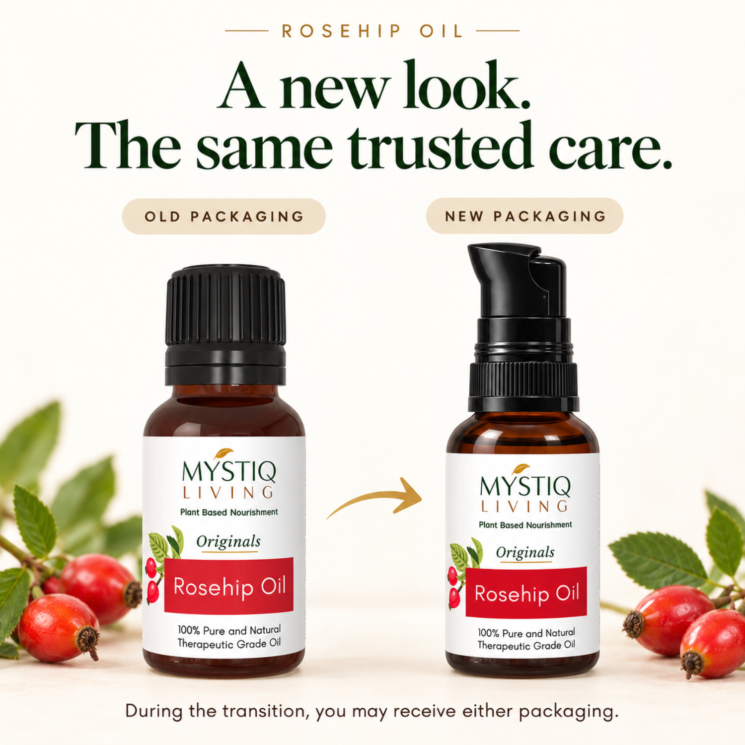 Rosehip Seed Oil