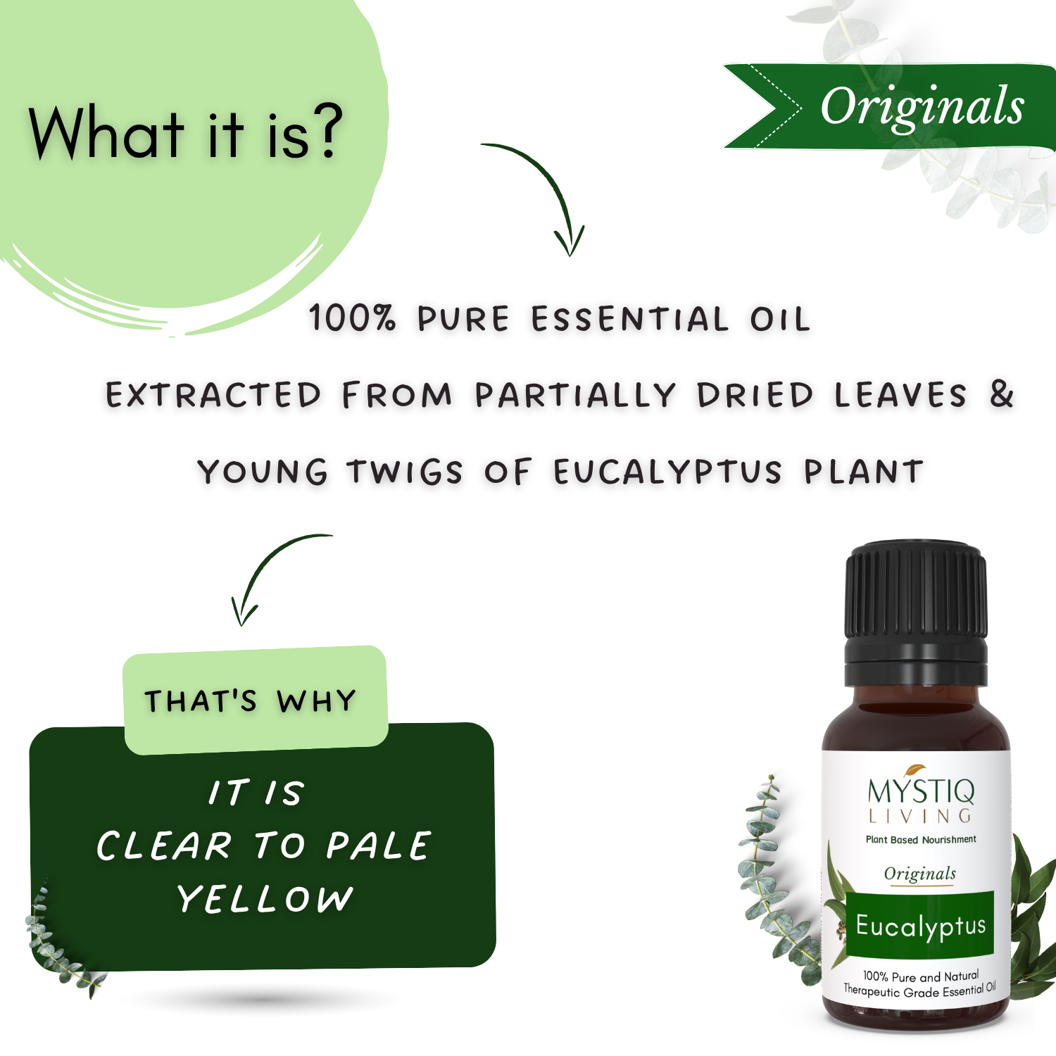 Eucalyptus Essential Oil for Skin, Hair, Relieves Cold and Cough
