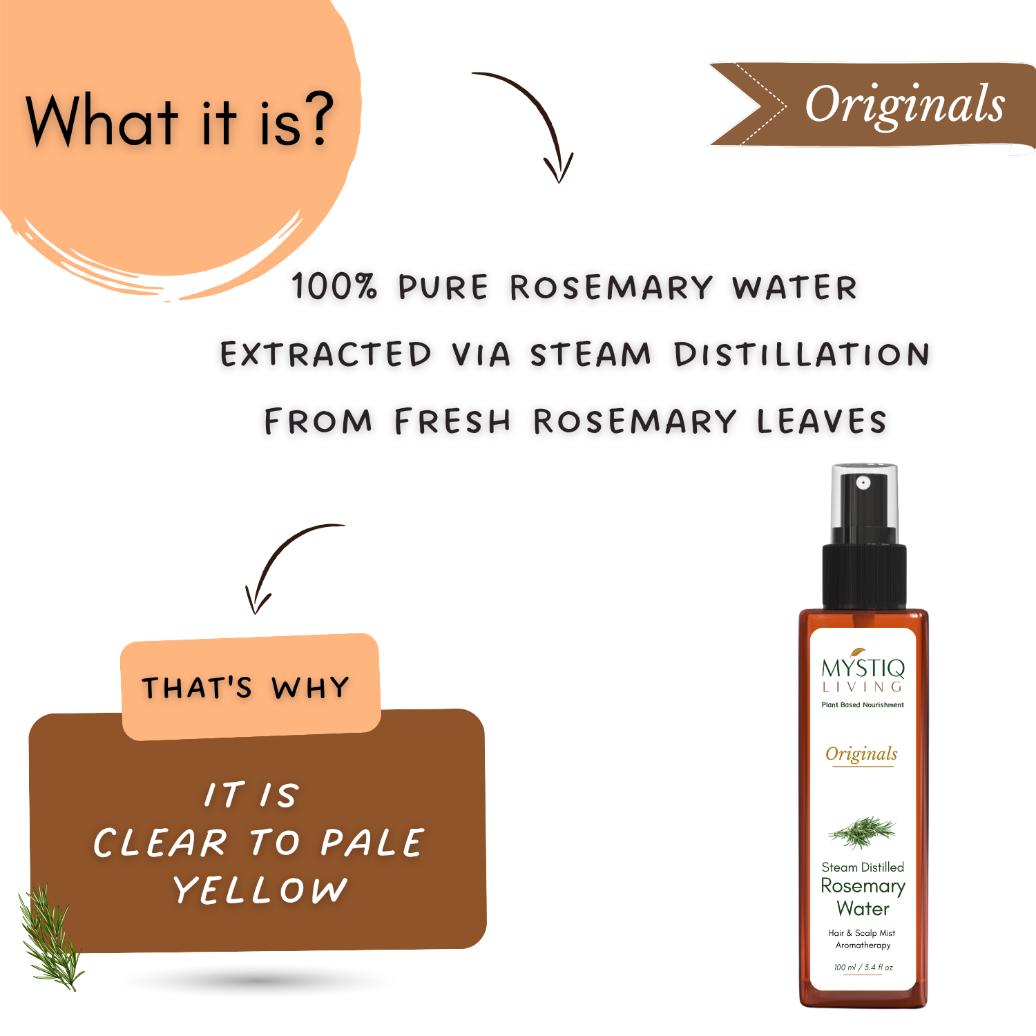 Mystiq Living Rosemary and Rice Water Hair Spray for Regrowth - Pack of 2(200 ML) | Fermented Rice Water, Steam Distilled 100% Pure and Natural Hydrosol