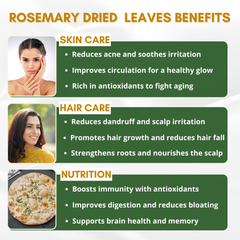 Rosemary Leaves  | Organic Dried Rosemary Leaves