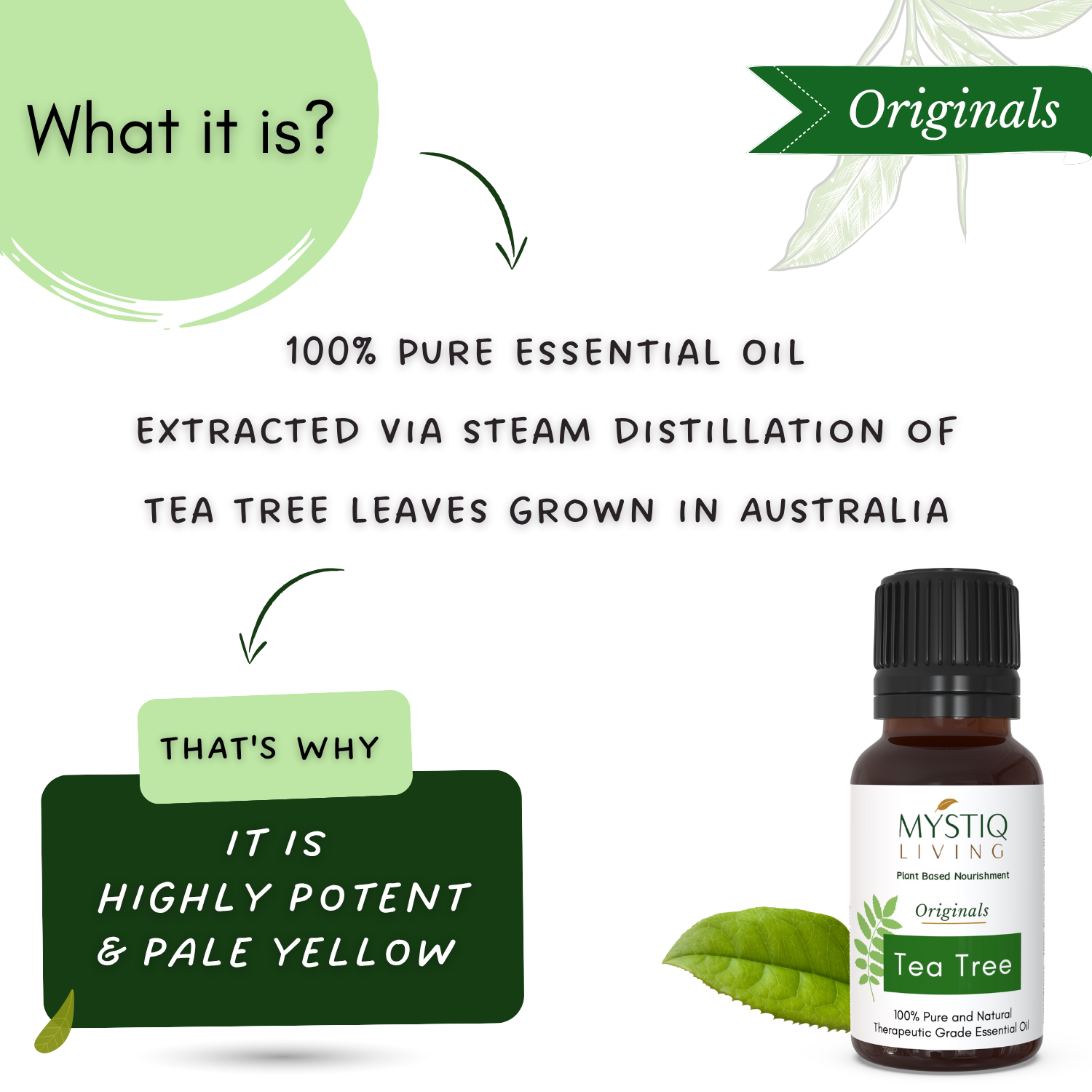 Tea Tree Essential Oil for Acne, Hair Care, Anti Aging