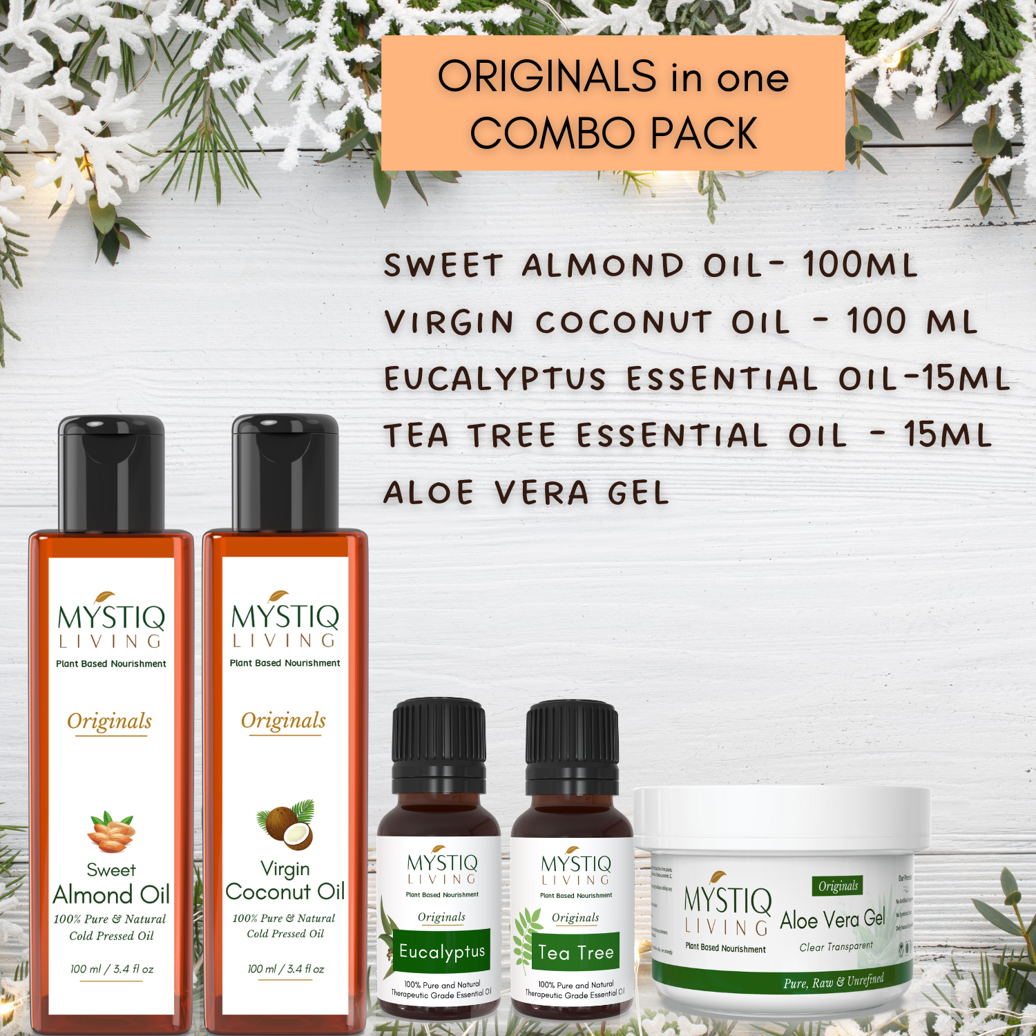 winter care kit